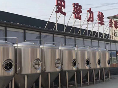 确山精酿啤酒设备厂—市场规模与跨界新需求